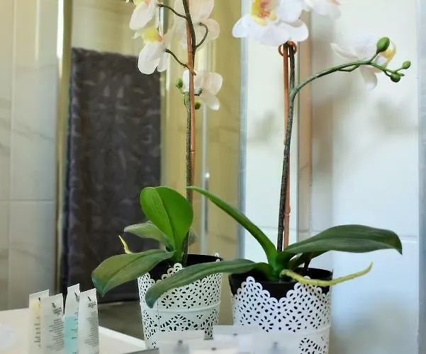 Apartmán Centre Vivere *